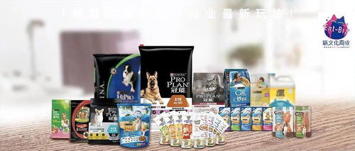 双11宠物市场悖论 厂商突围，电商败退，长沙文化创意新视野